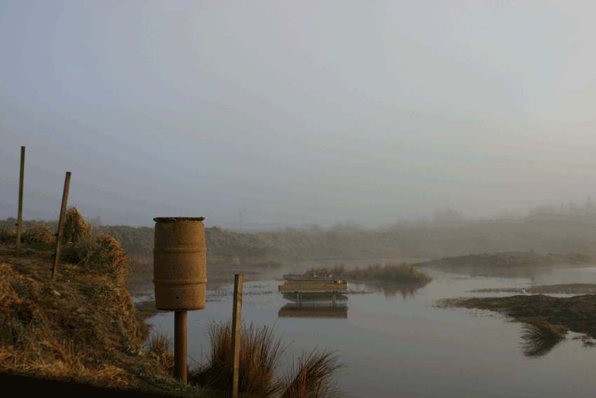 Misty Morning