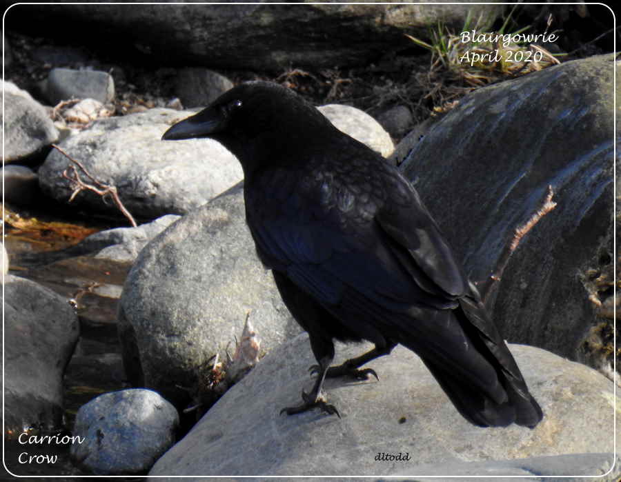 Pottering around the rocks