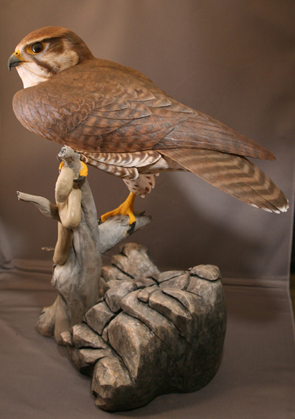 Prairie Falcon wood carving