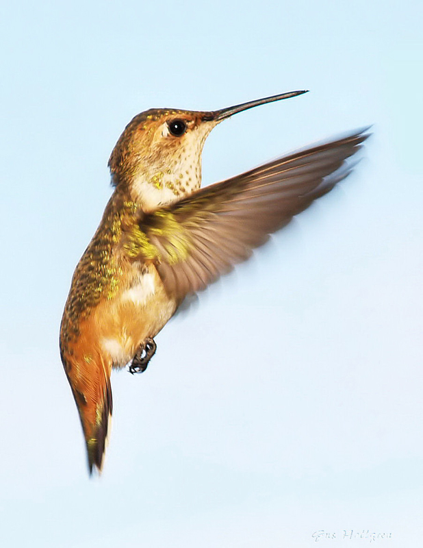 &quot;Hovering&quot;
