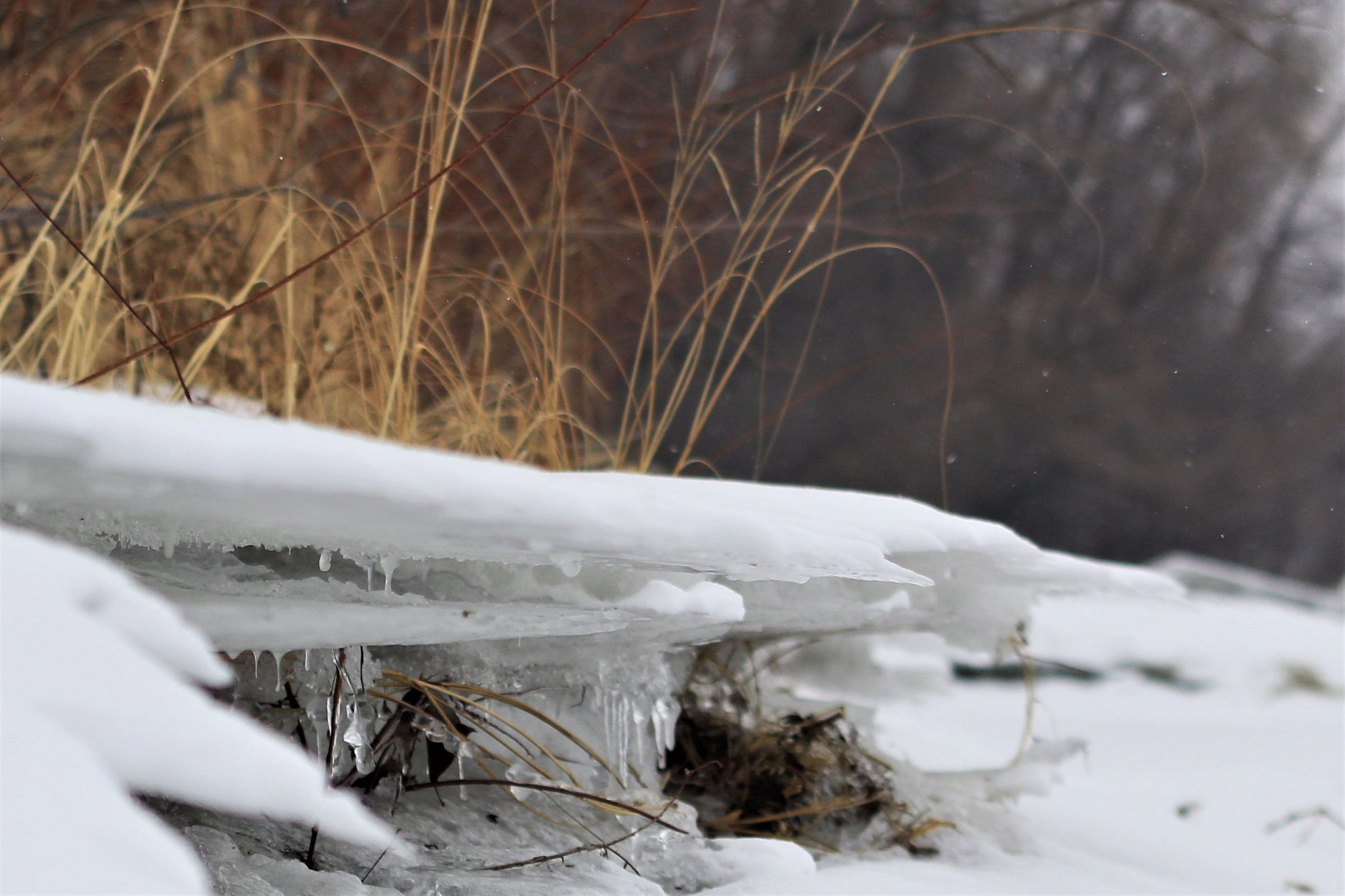 Remnants of three seasons