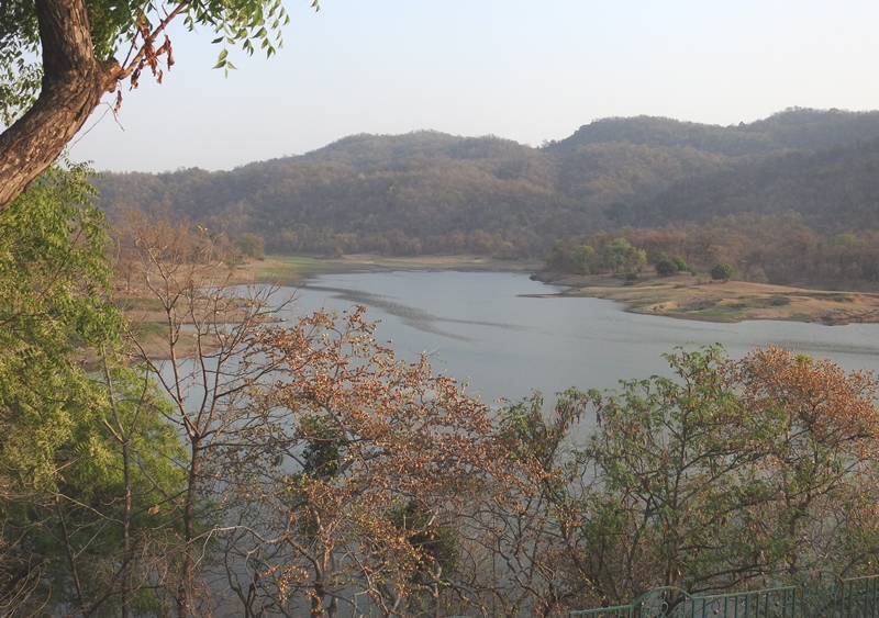 Reservoir in Forest