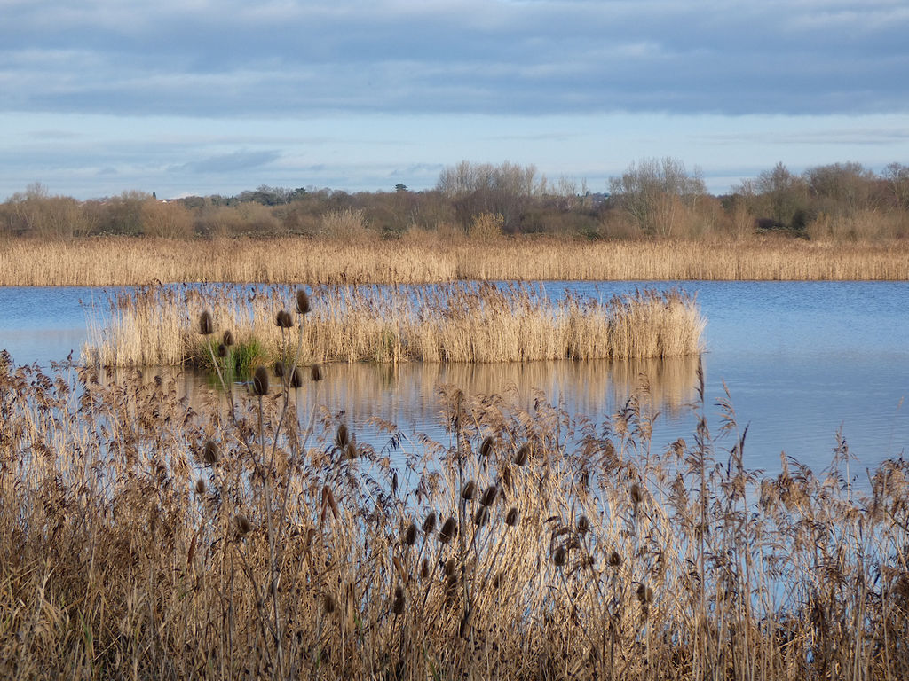 RSPB Middleton Lakes....