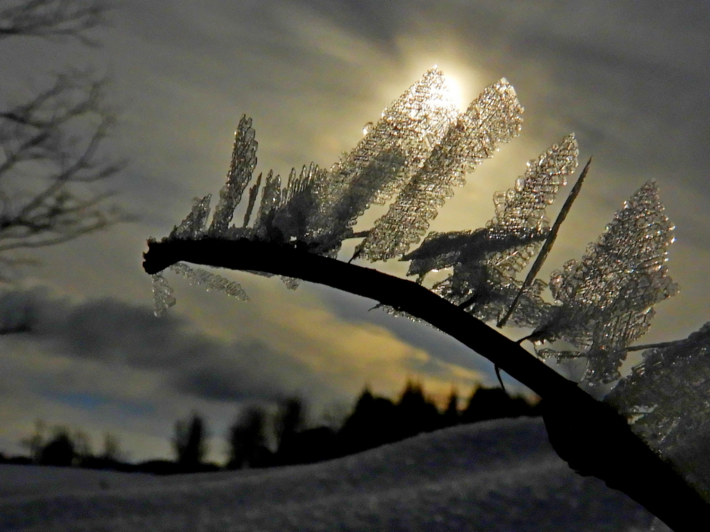 SAT FUN: The Ice Dragon