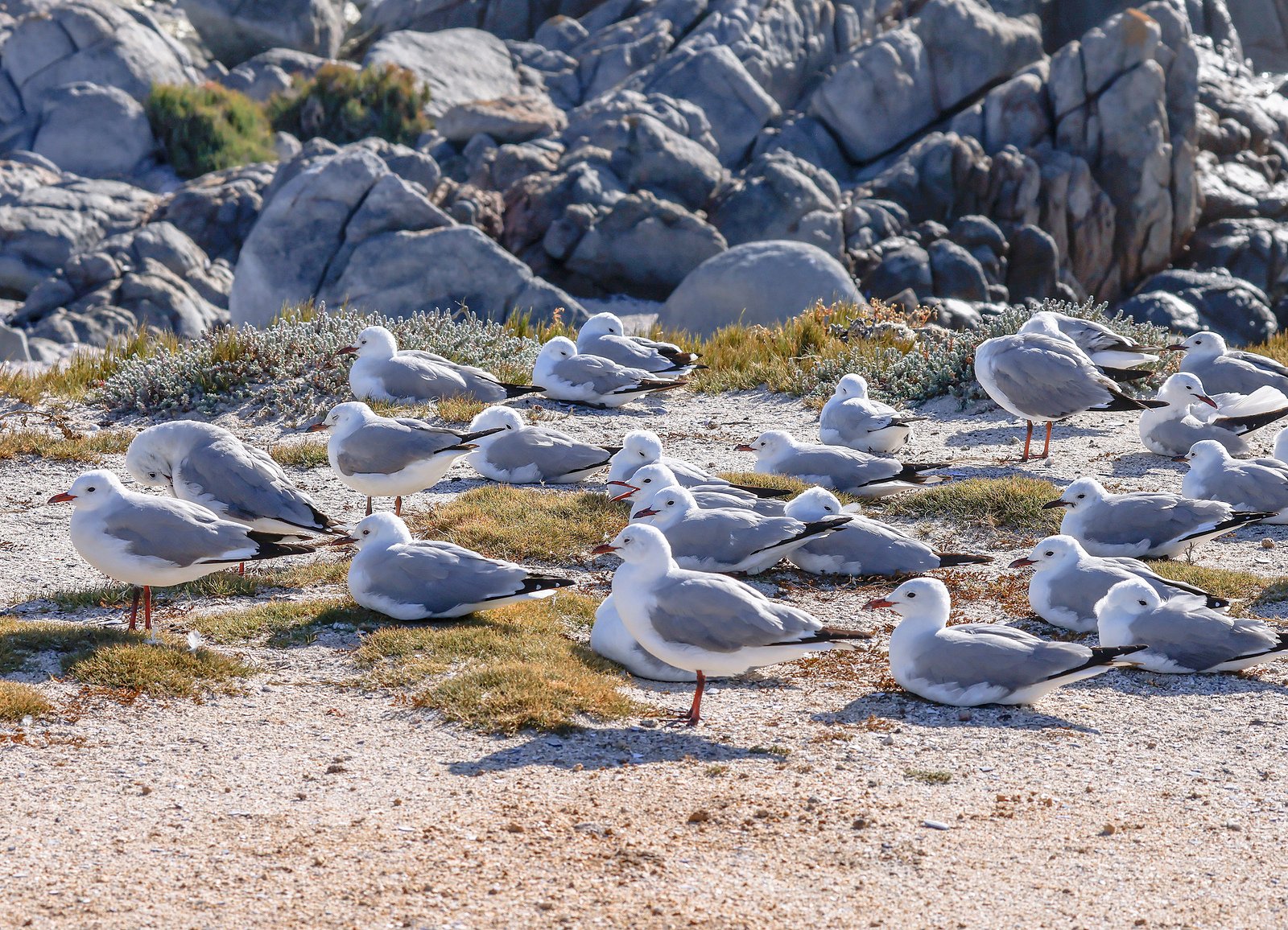 sheltering from the wind