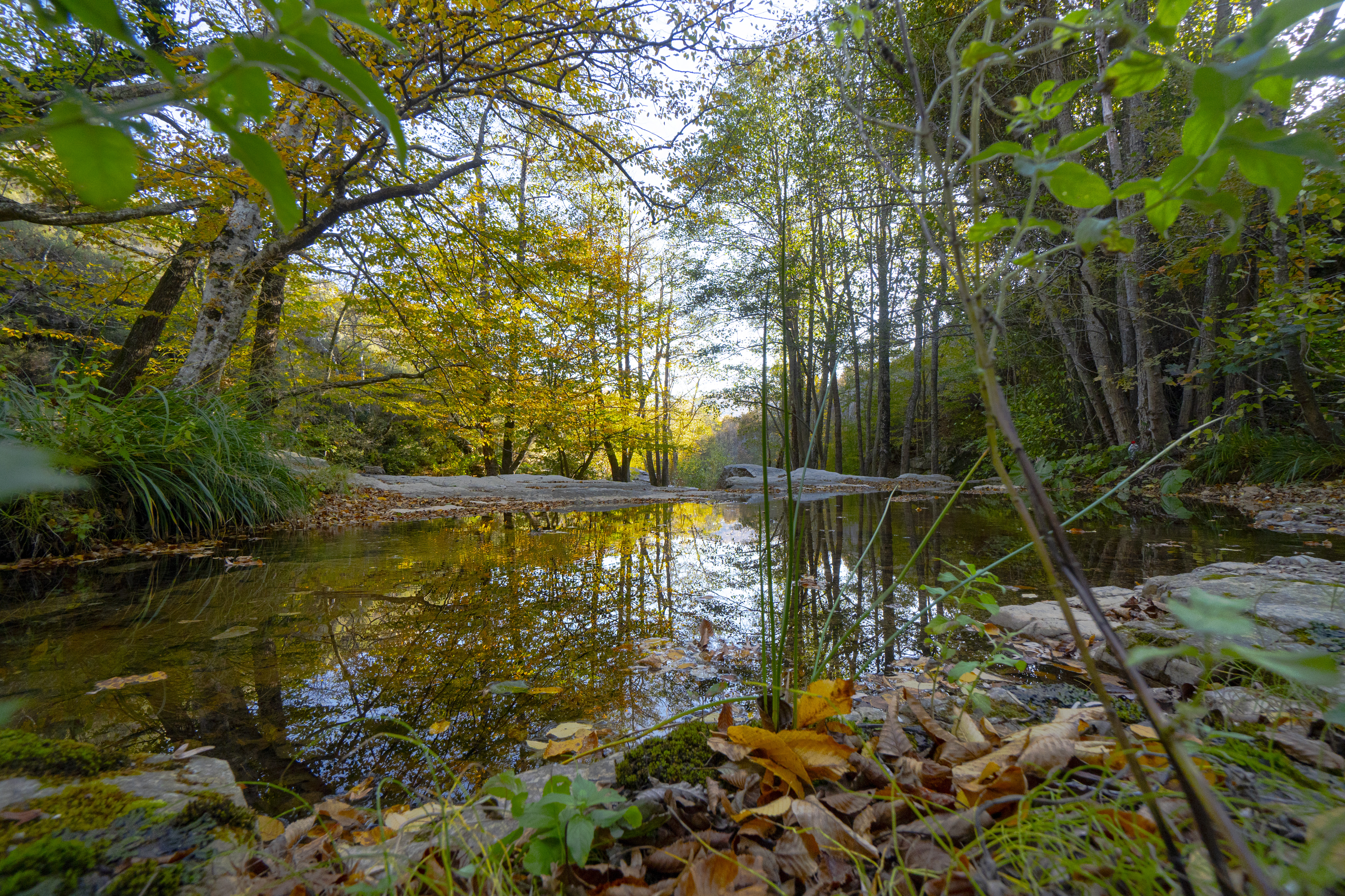 Silence of Autumn