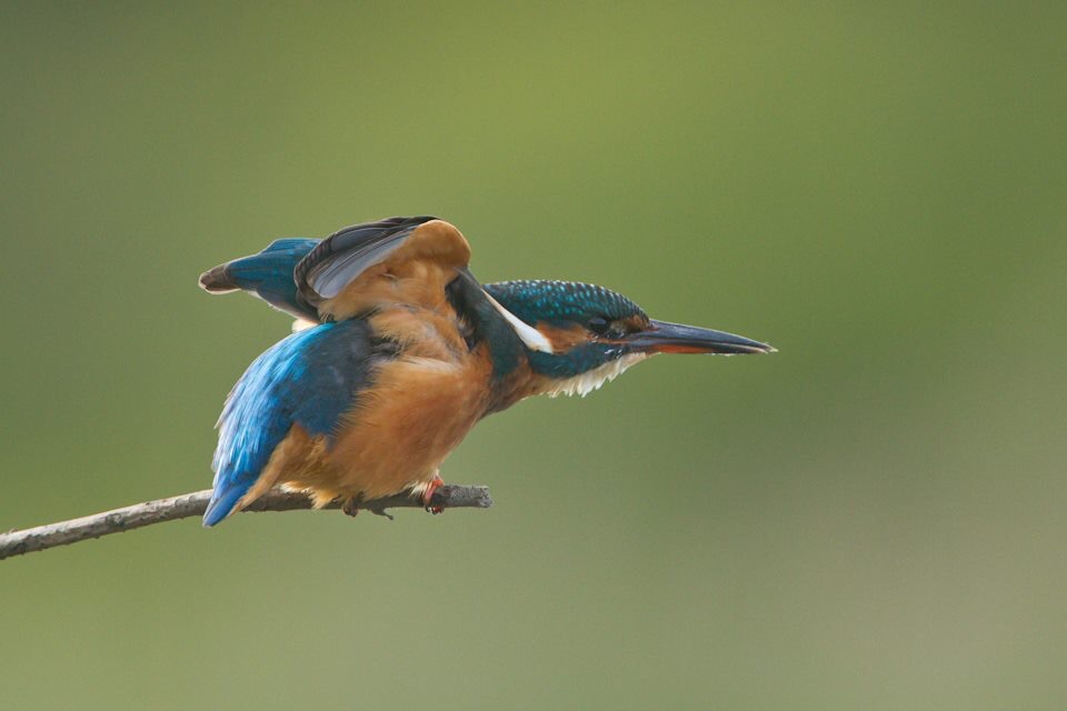 Stretch