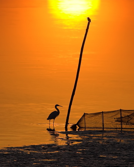 Sunset Fishers ;)