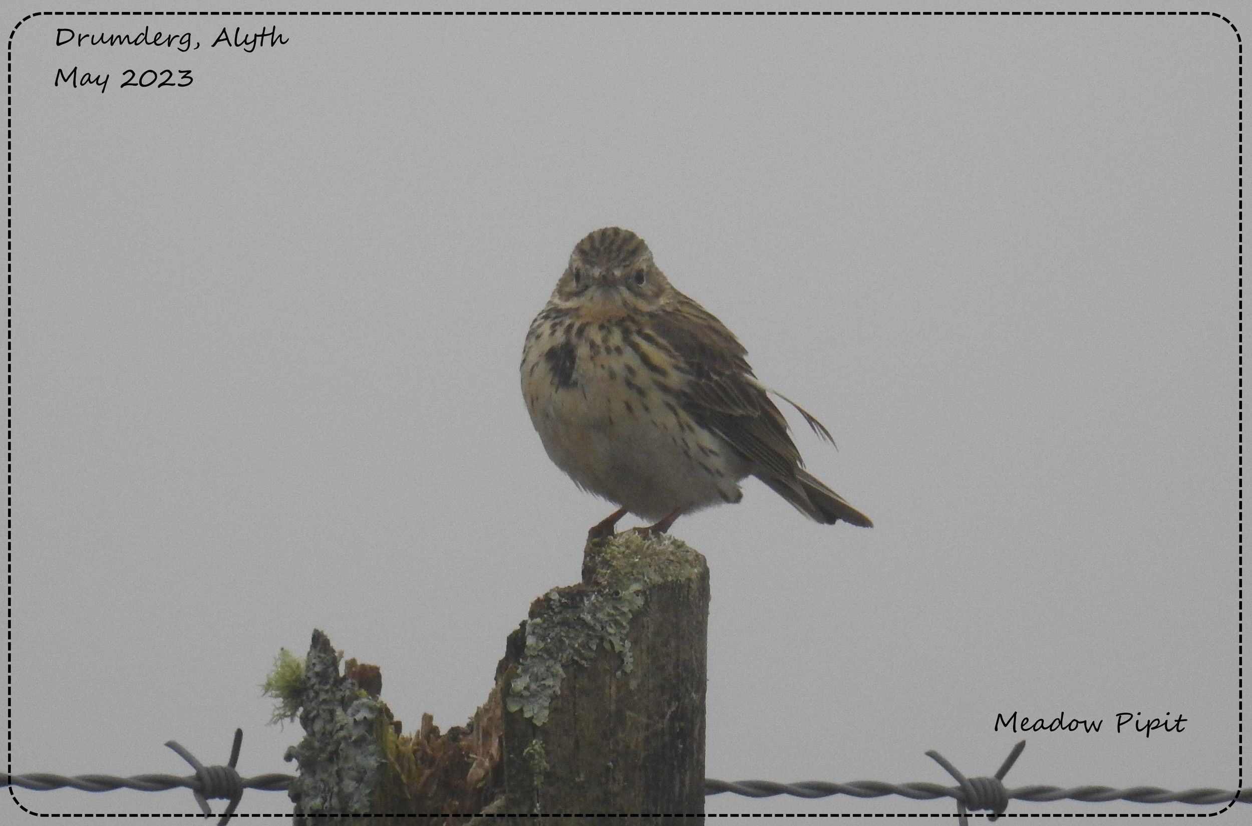 The fog must have spoilt his view in the mirror!