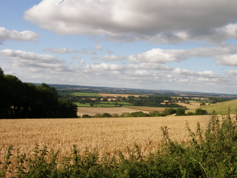 View above Hungerford