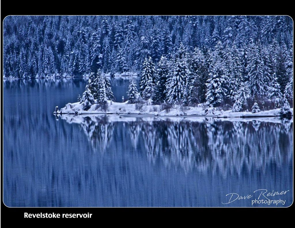 winter reflections