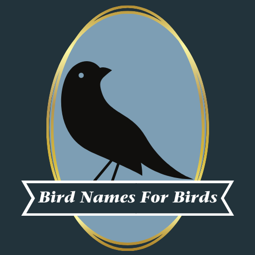 birdnamesforbirds.wordpress.com