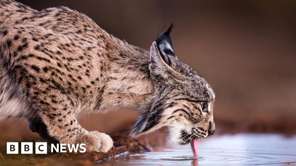 www.bbc.co.uk