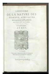 archive.org