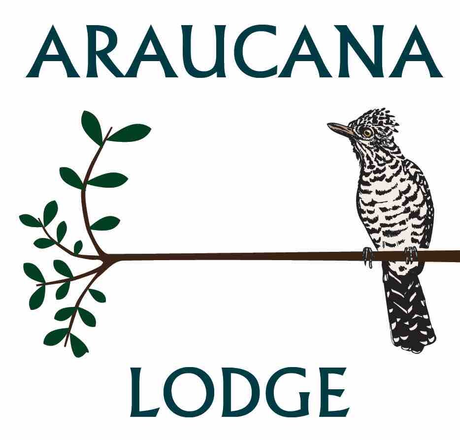 www.araucanalodge.com