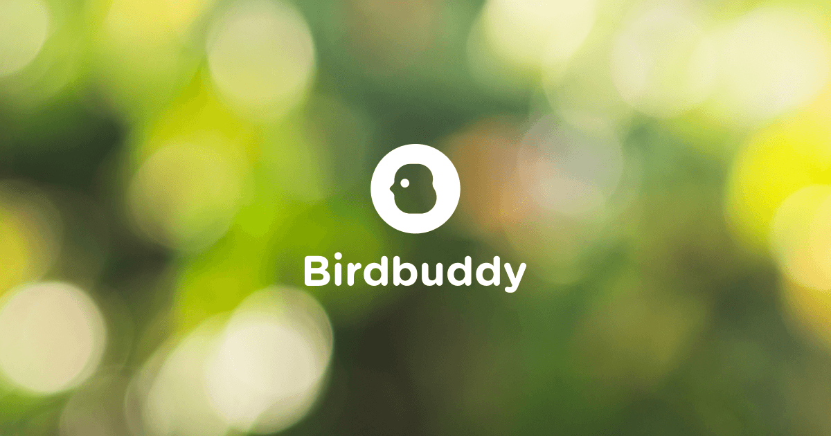 mybirdbuddy.com