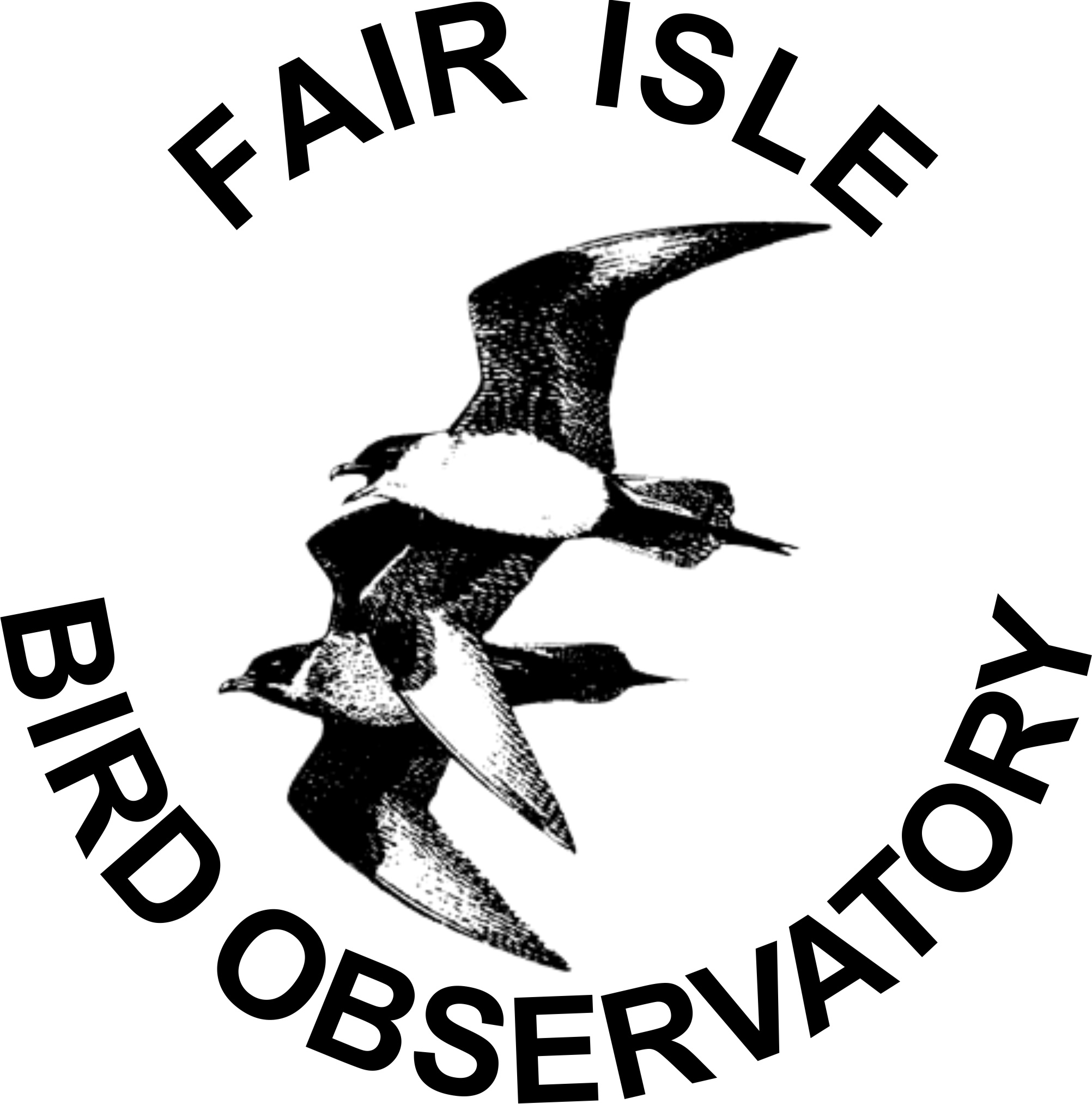 www.fairislebirdobs.co.uk