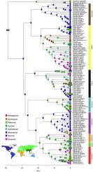 www.sciencedirect.com