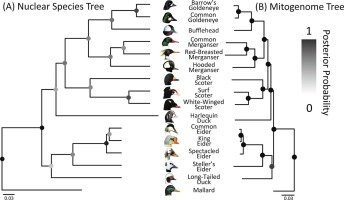 www.sciencedirect.com