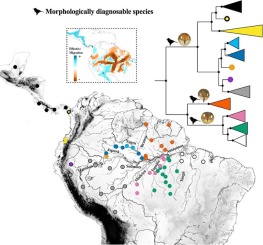 www.sciencedirect.com