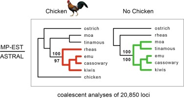 www.sciencedirect.com