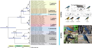 www.sciencedirect.com