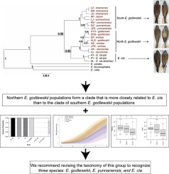 www.sciencedirect.com