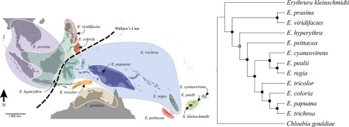 www.sciencedirect.com