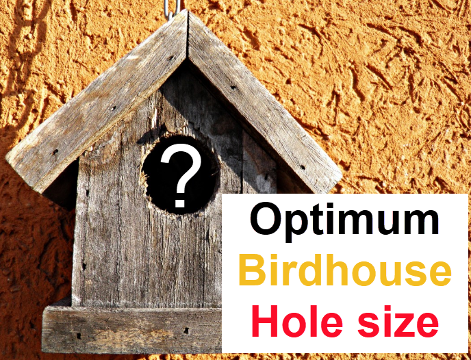 birdhouseplan.com