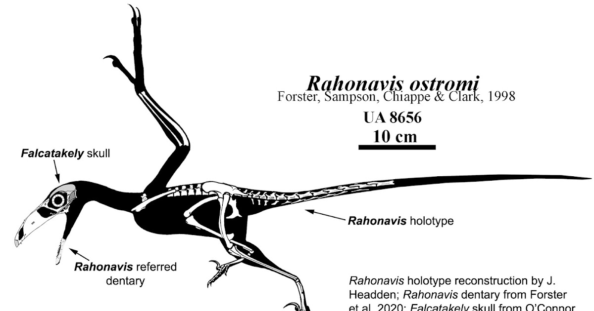 theropoda.blogspot.com