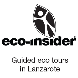 eco-insider.com