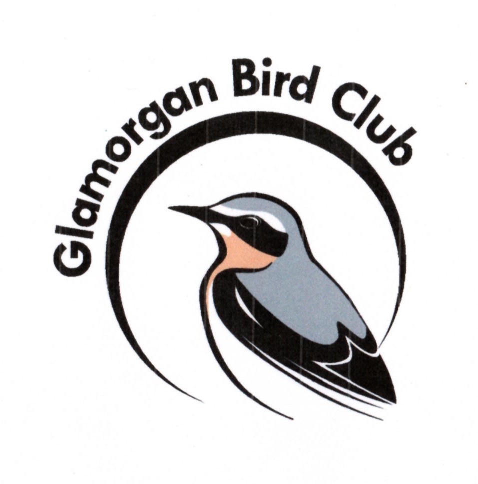 glamorganbirds.org.uk