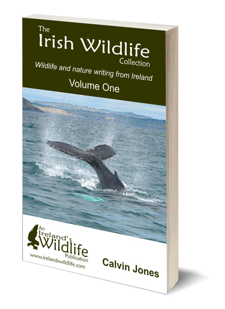 irelandswildlife.com