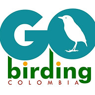 www.gobirdingcolombia.com