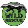 wildrescue.co.za