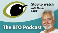 bto-podcast-episode-1-v3.jpg