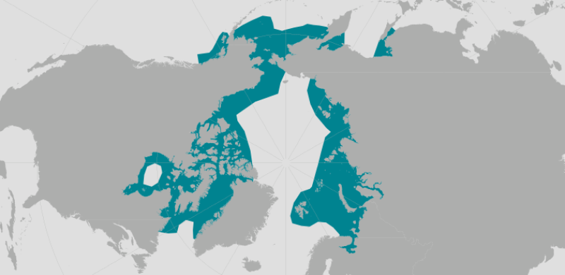 beluga_whale_range.png