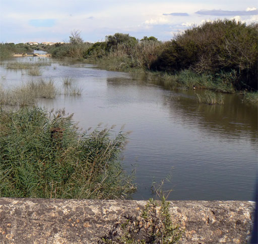 Albufera.jpg