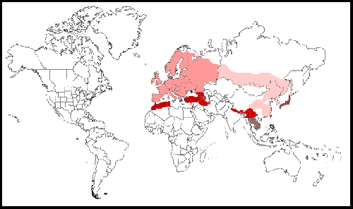 Map-EurasianJay.png